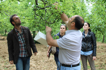 Ziraatte ilaçsız mücadele