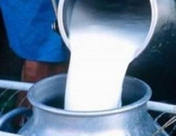 Açık süt tüketiminde yeni tehlike