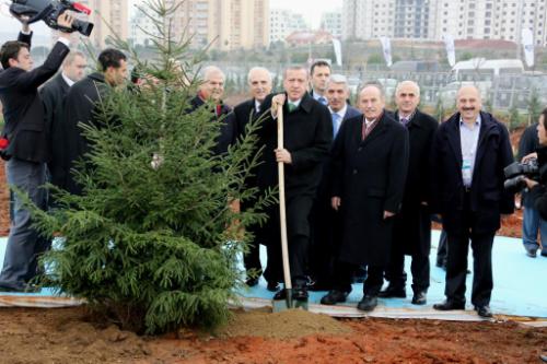 İstanbul’a 400 bin yeni ağaç…