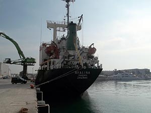 Antalya Büyükşehir deniz kirliliğine geçit vermiyor