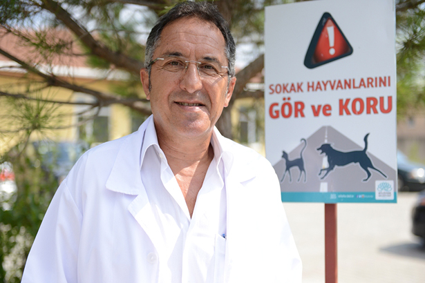 Sokak hayvanlarını gör ve koru