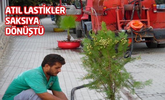 Atıl lastikler saksıya dönüştü