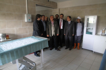 Sokak Hayvanları Bakım Merkezi hizmete girdi