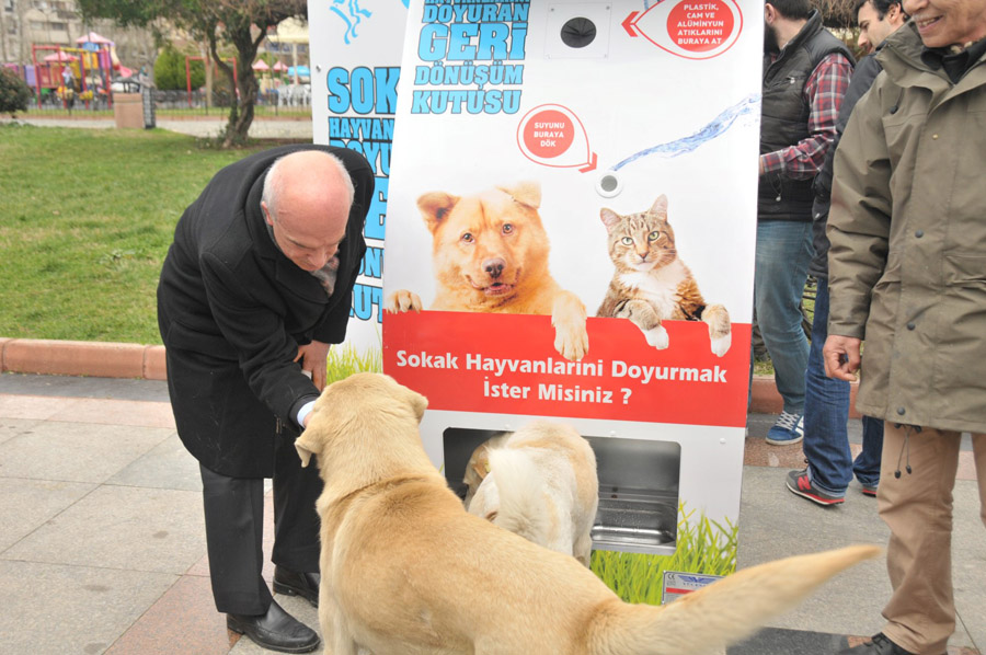 Küçük dostlar için büyük adımlar