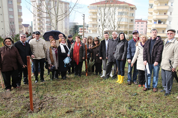 Nilüfer’de zeytin fidanları toprakla buluştu
