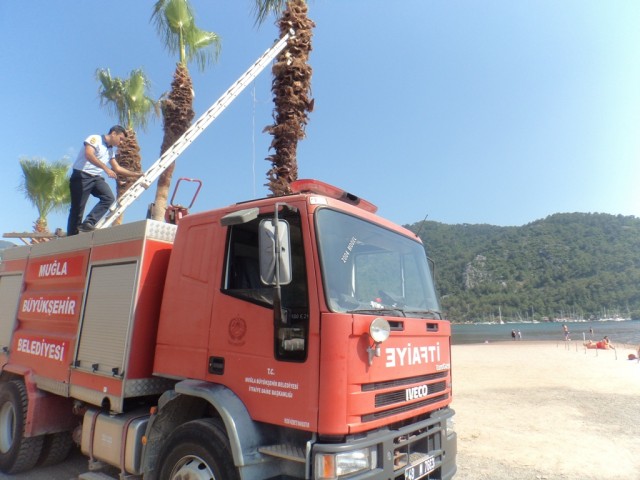 Hayvan Dostu Büyükşehir İtfaiyesi