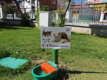 Büyükşehir Sokak Hayvanlarını Unutmadı