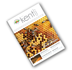 KENTLİ DERGİSİ SAYI 9