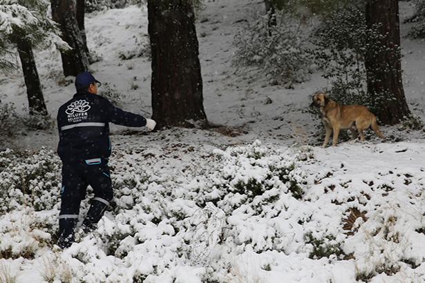 Can Dostlar Aç Kalmasın