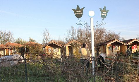 Hobi Bahçelerinde Güzellikler Yetişiyor