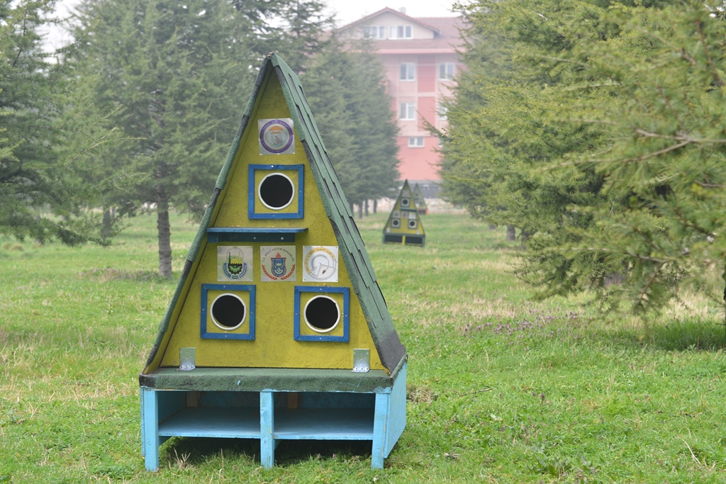 Kediler Yuvalarına Kavuştu