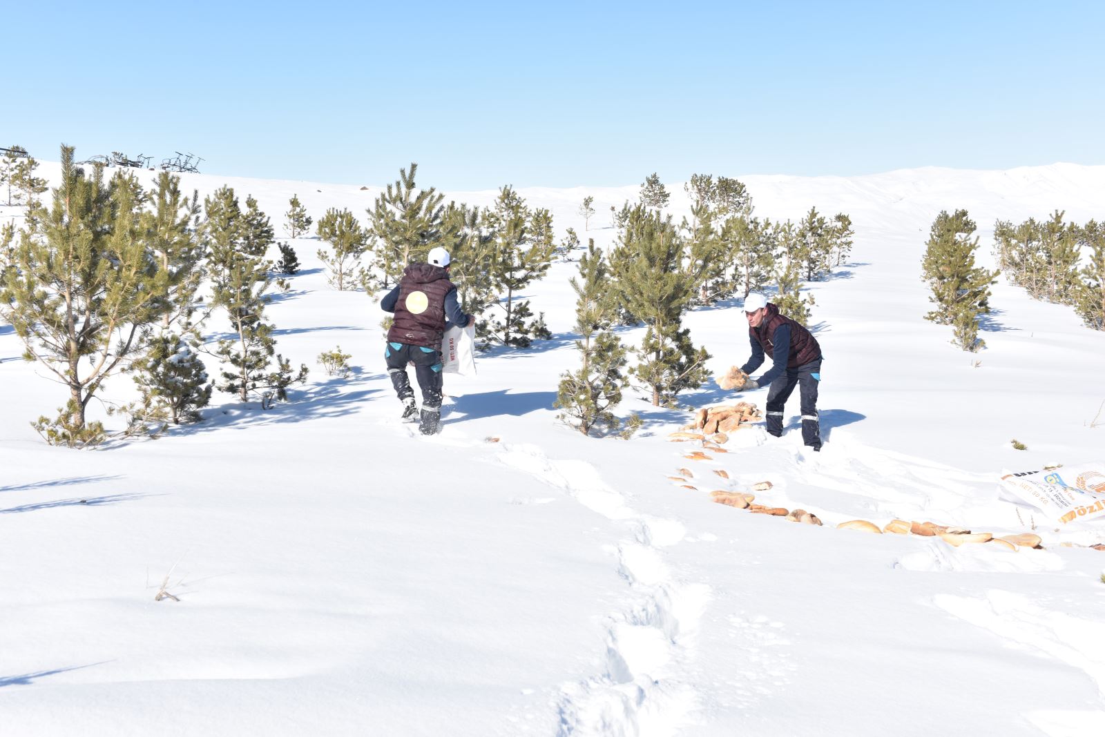 ERTANSA'dan Sosyal Sorumluluk Örneği