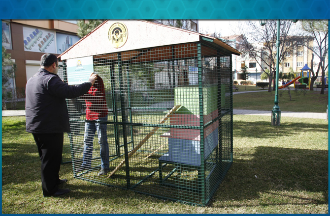 Kedi Evleri Çoğalıyor