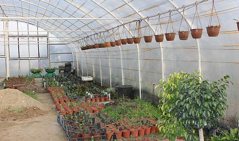 Seramızda Güzellikler Yetişiyor