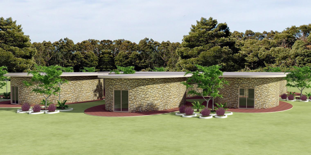 Sokak Hayvanları Ordu Büyükşehir'in Koruması Altında