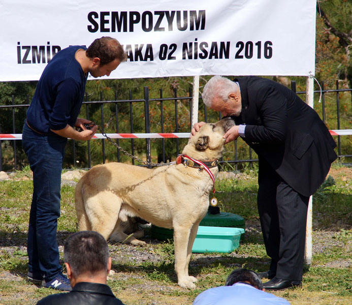 Yerli Irklar Yok Olmasın