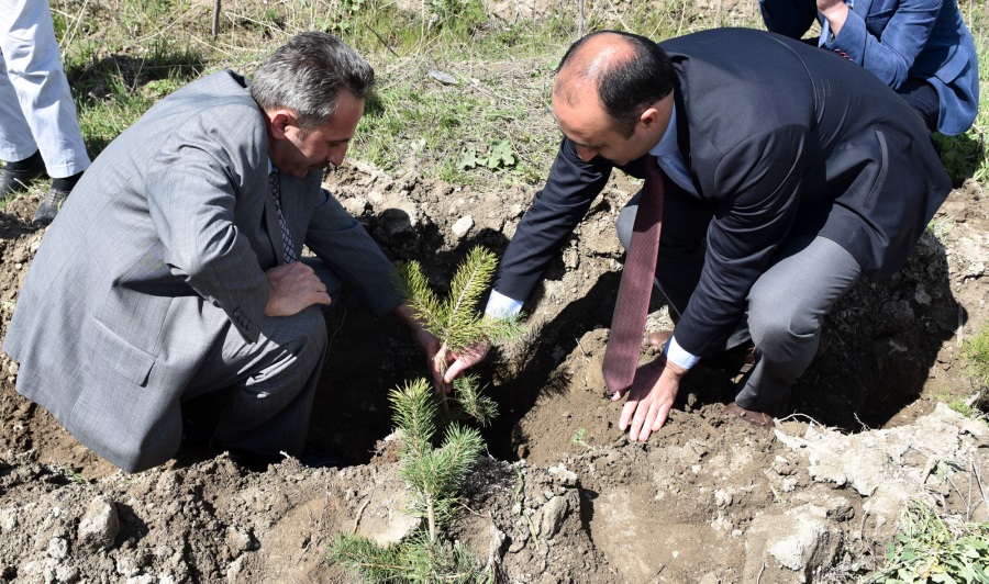 Her Köye Bir Orman Bin Derde Derman