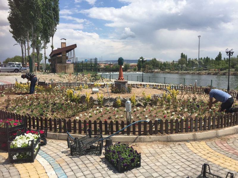 Mevsimlik Çiçek Dikimleri Devam Ediyor