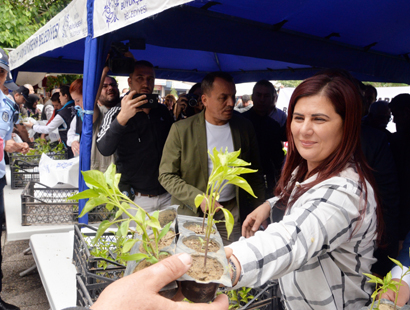 Topuklu Efe Fide Dağıtıp, Kendi Elleriyle Yufka Açtı