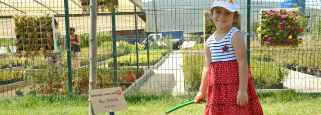 Çocuğunuzun, Dikili Bir Ağacı Olsun