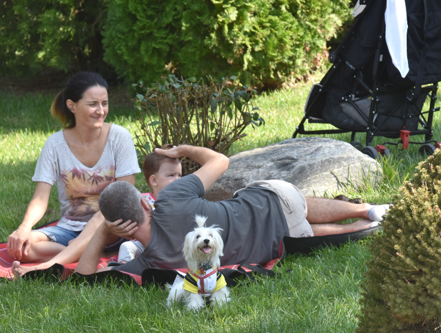 Dünya Hayvanları Koruma Günü Kutlu Olsun!