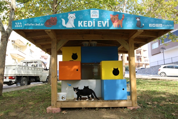 Can Dostları Nilüfer’de Güvende