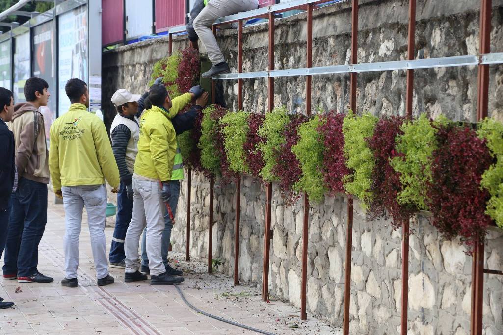 Yeşil Çevre Estetik Hatay