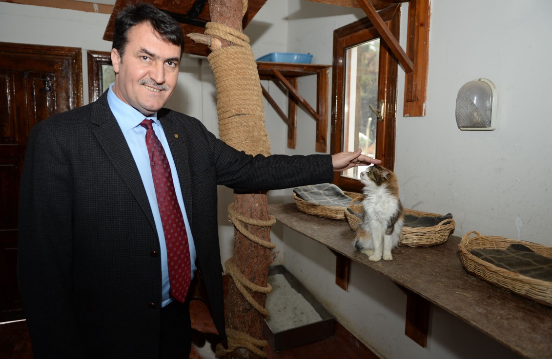 Sokak Hayvanları Osmangazi’de Sağlık Buldu