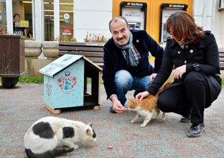 MUDANYA BELEDİYESİ’NDEN SESSİZ DOSTLARA MAMA DESTEĞİ