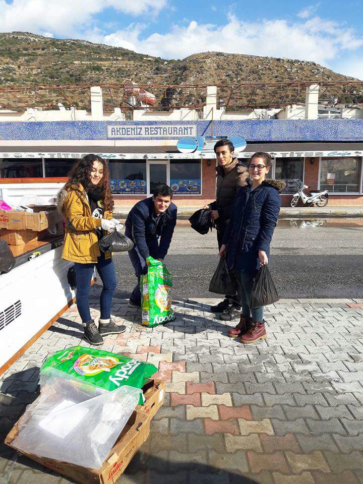 Sokak Hayvanları HBB'nin Koruması Altında