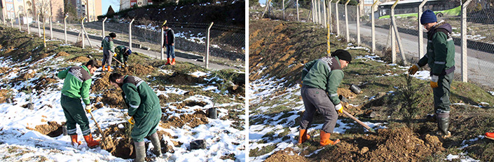 Su depolarının çevresine 10 bin ağaç