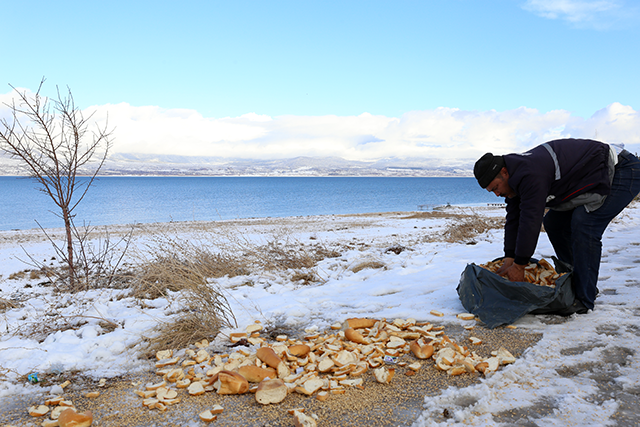 Burdur Belediyesi Sokak Hayvanları İçin Yem Bıraktı