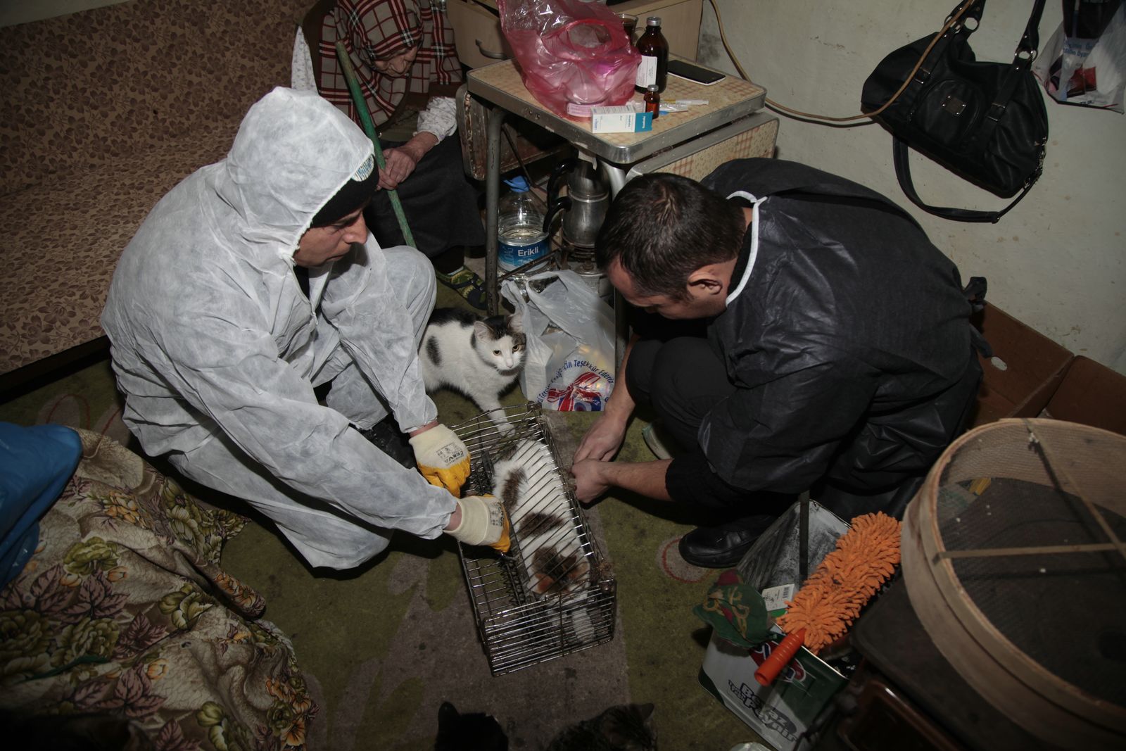 Hayvansevere yardım eli