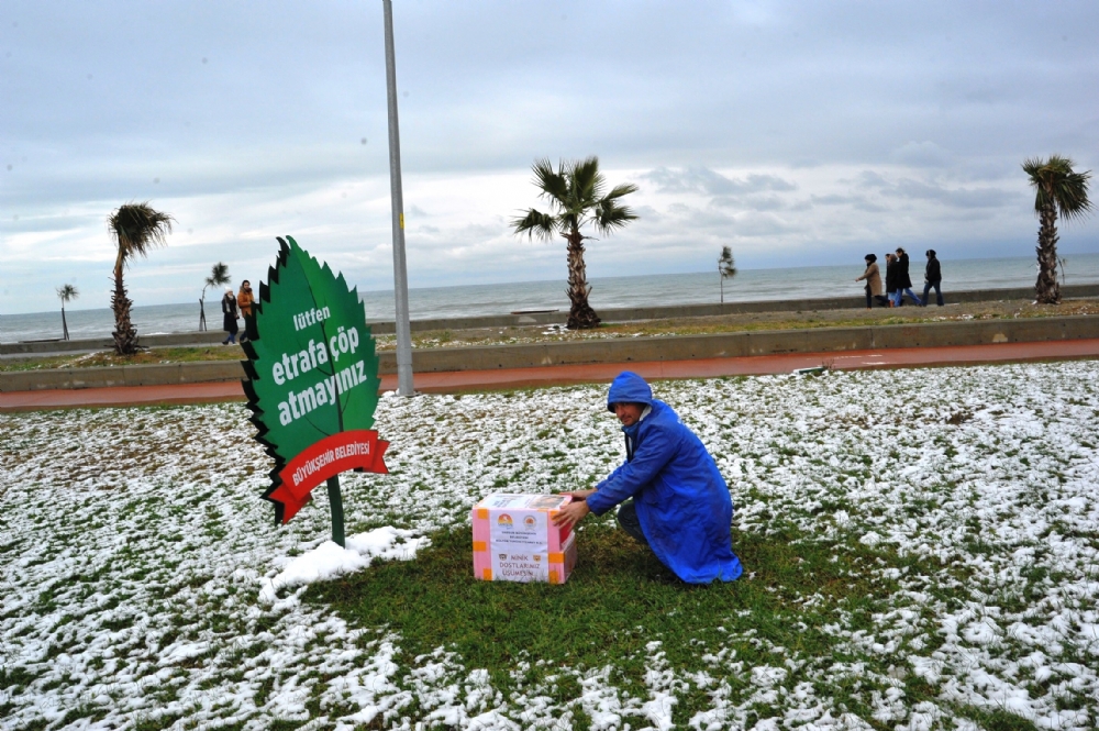 Büyükşehir’den Sokak Hayvanlarına Kış Şefkati