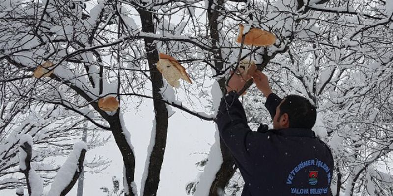 45 Farklı Noktaya 500 Kilo Mama Bırakıldı