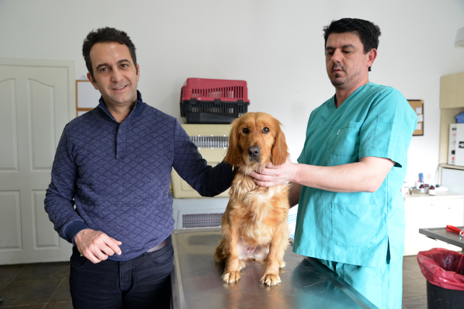 Hayvanseverler Sokak Hayvanlarına Sahip Çıkıyor