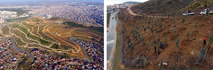 Gebze’nin Akciğeri Beylikdağı’na Çeyrek Milyon Ağaç