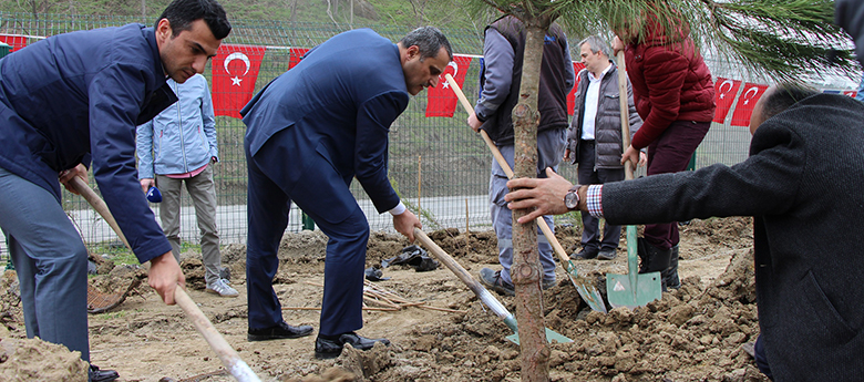 Kısırkaya'ya Büyükşehir'den Hatıra Ormanı