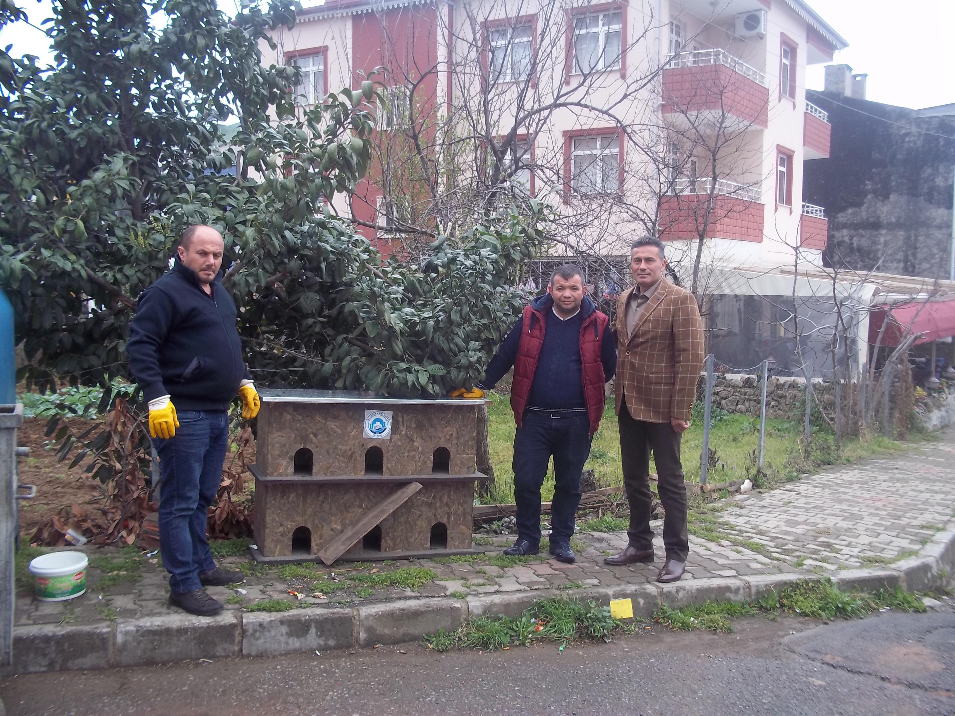 Sokak Hayvanları, Barınaklarına Kavuştu