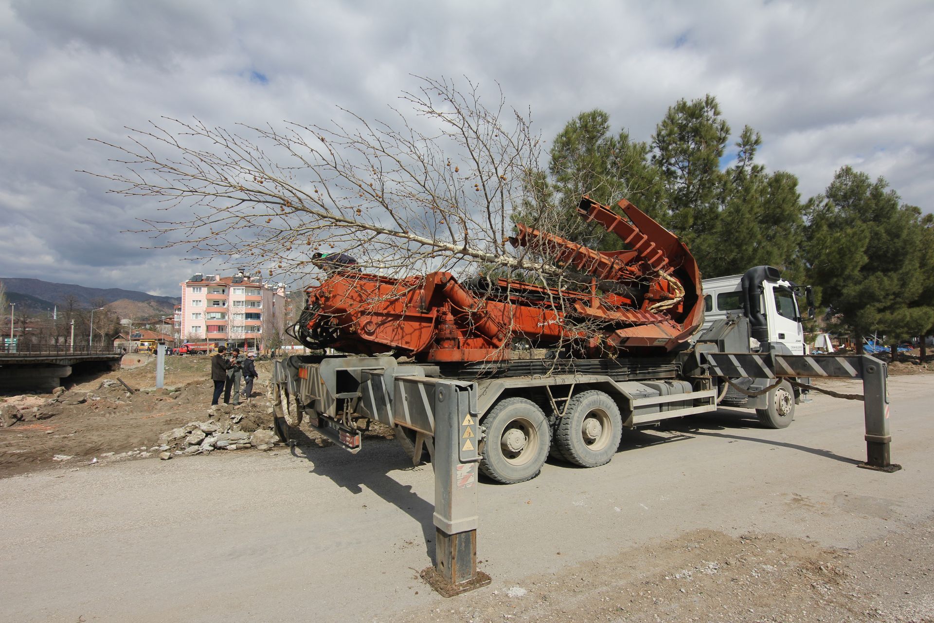Kızılırmak Sahilindeki Ağaçlar Taşınıyor