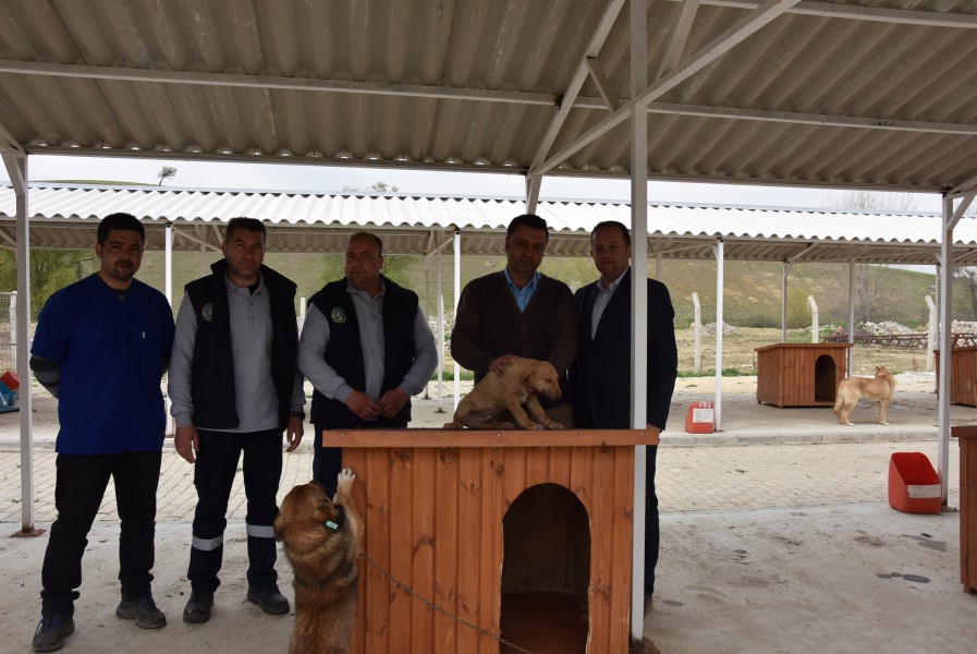Belediye Başkanı Ulaş Yurdakul 4 Nisan Dünya Sokak Hayvanları Günü Sebebiyle Geçici Hayvan Barınağı Ziyaret Etti