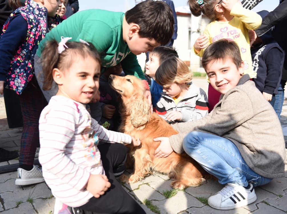 Minikler Sokak Hayvanlarının Sesi Oldu
