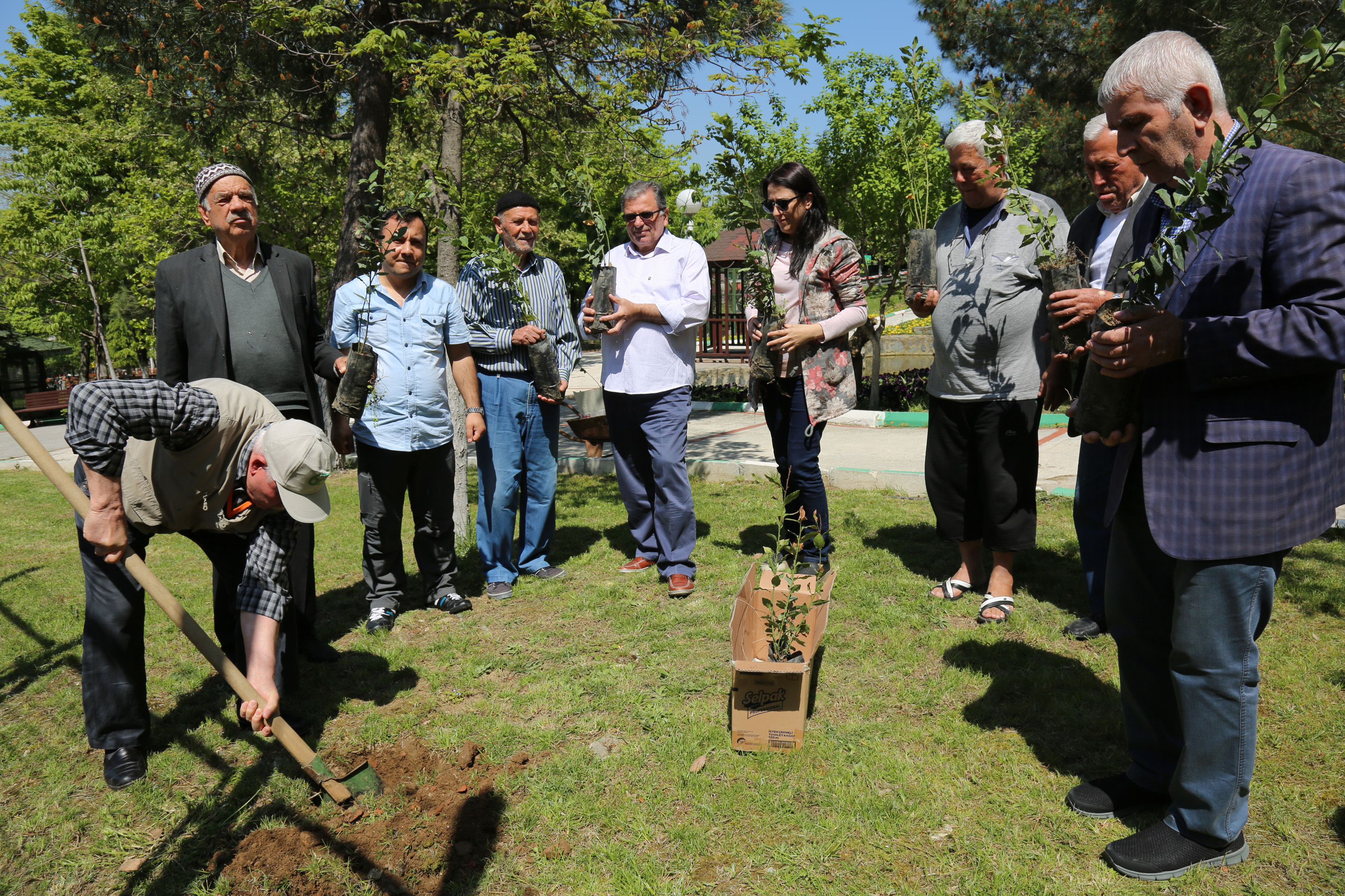 Bu Fidanlar Huzur İçin