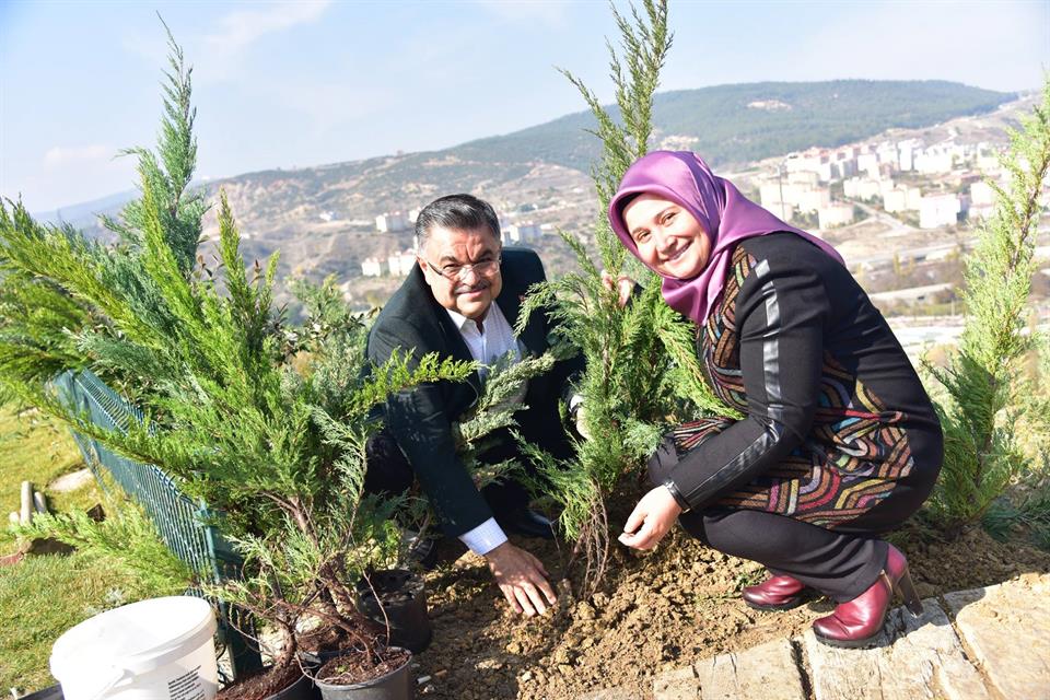 11.11. Bilecikliler Günü Dolayısıyla 11 Bin 111 Ardıç Fidanı Toprakla Buluştu