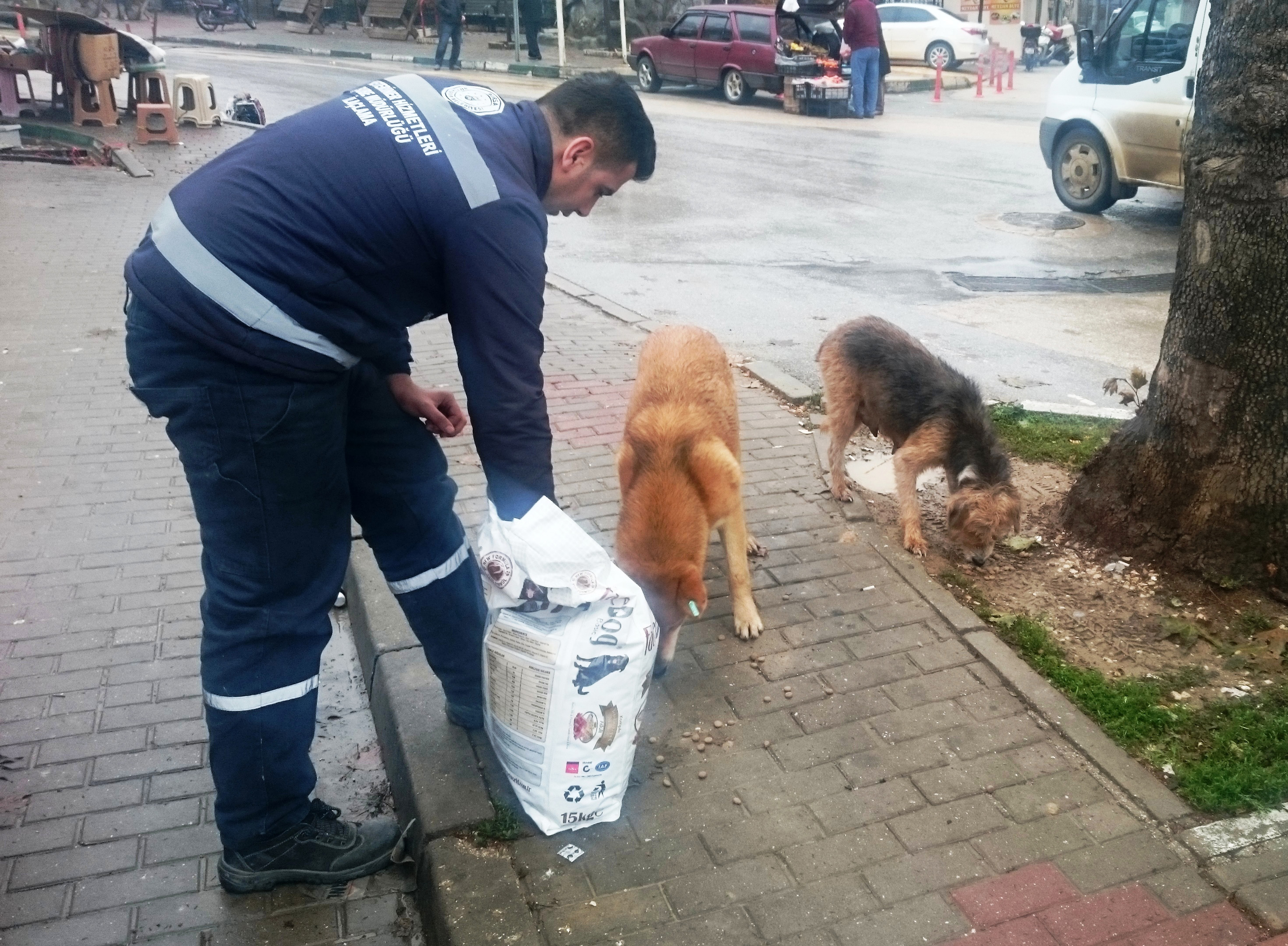 Sokak Hayvanlarını Unutmayalım
