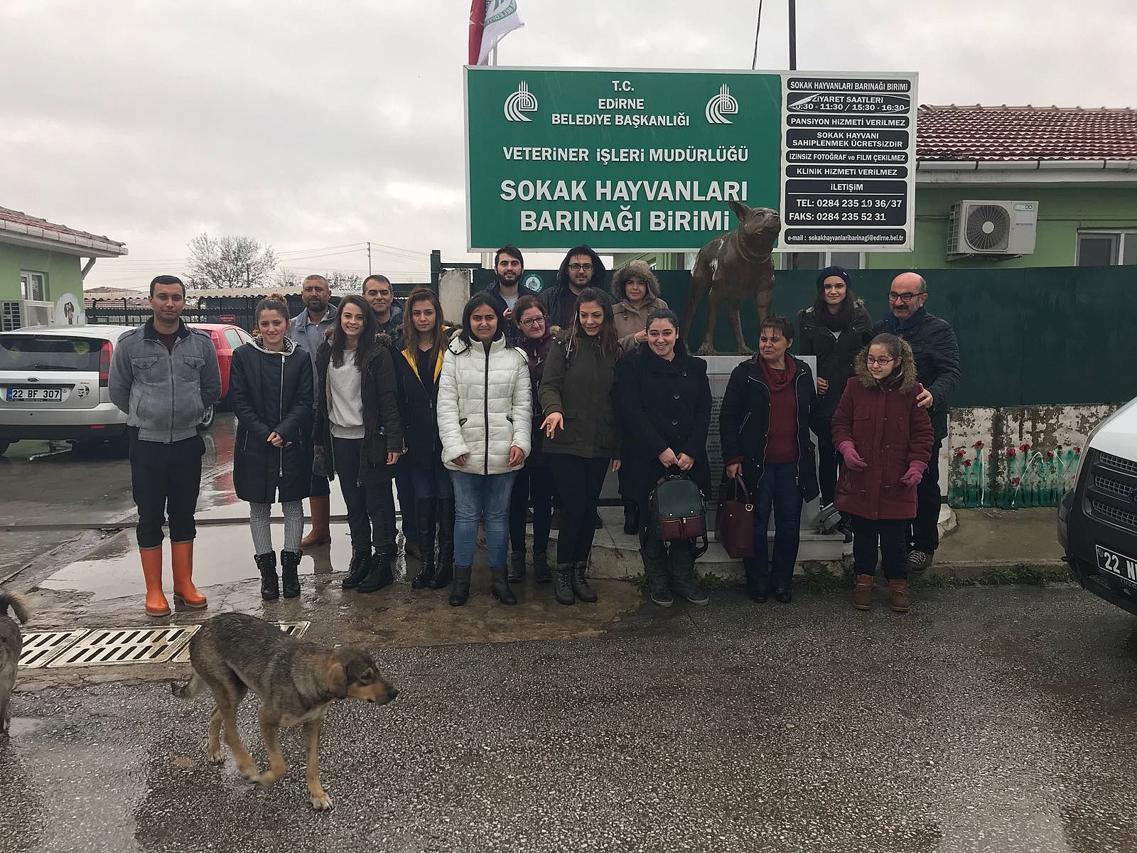 Sevimli Dostlarımız İçin Kulübe