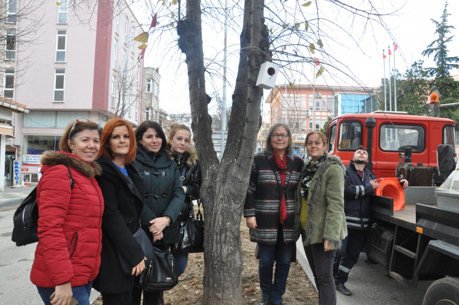 Ağaçlara Kuş Yuvası Takıldı
