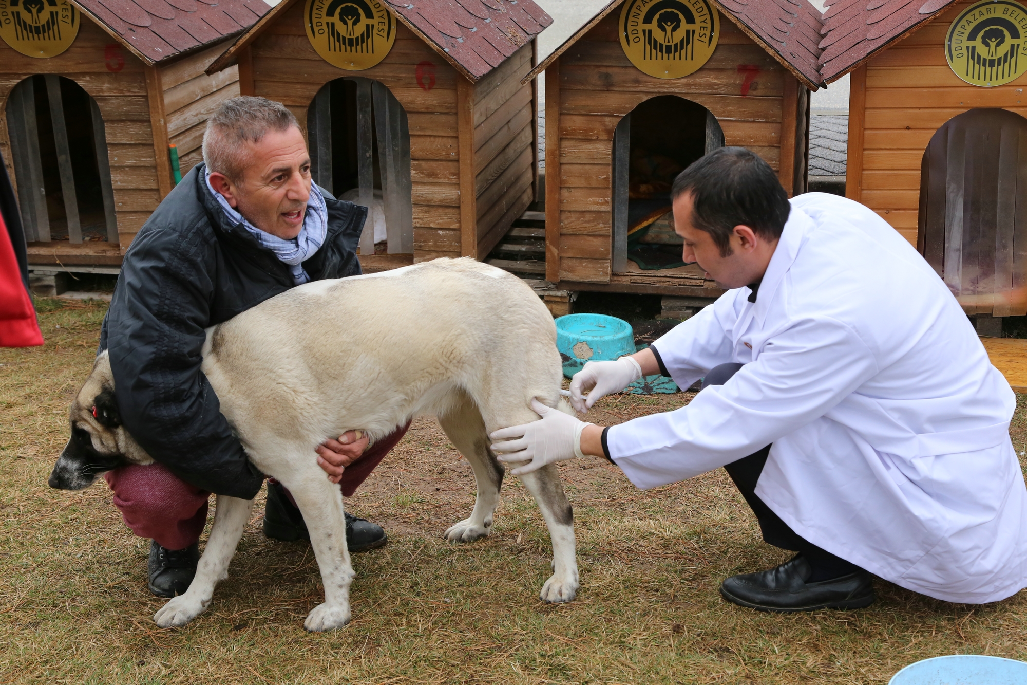 Hayvan Dostu Belediye