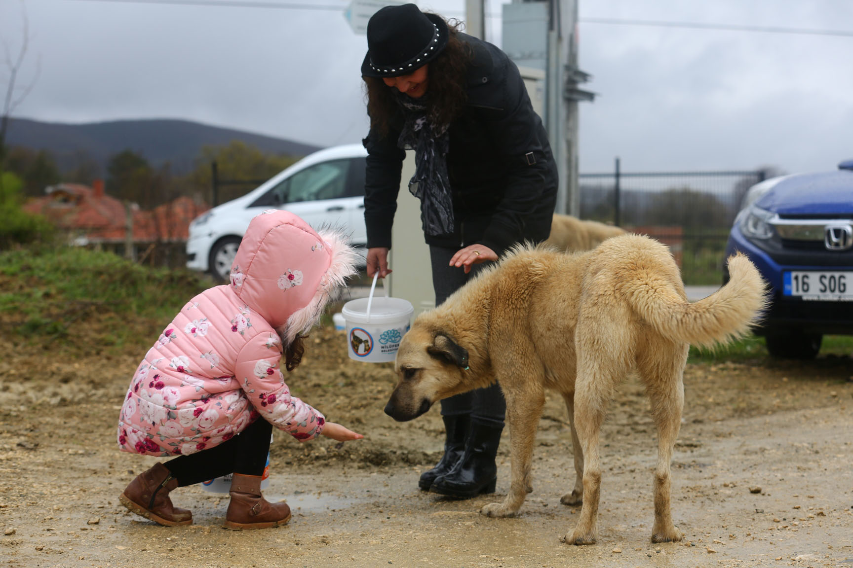 Gönüllü Eller Can Dostlara Uzandı