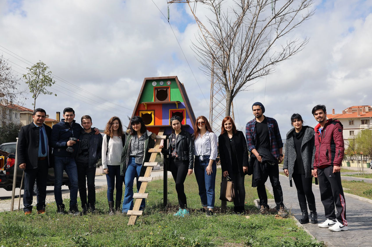 Sokak Kedileri, Yeni Yuvalarına Kavuştu